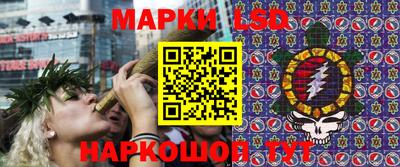 шишки Кинель