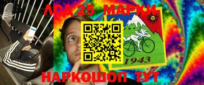 apvp Кингисепп