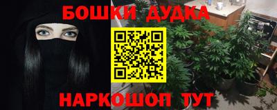 apvp Кингисепп