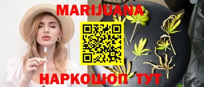 apvp Кингисепп