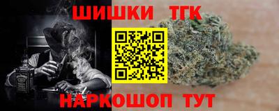 apvp Кингисепп