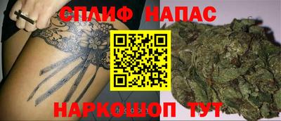 спиды Кимры