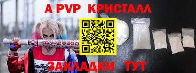 apvp Кингисепп