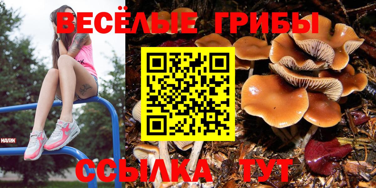 Красный Сулин  Галлюциногенные грибы Cubensis  Псилоцибиновые грибы Magic Shrooms  Вход с VPN 